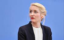 Ines Schwerdtner (Archiv), &uuml;ber dts Nachrichtenagentur