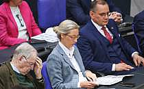 Alexander Gauland, Alice Weidel und Tino Chrupalla (Archiv), &uuml;ber dts Nachrichtenagentur