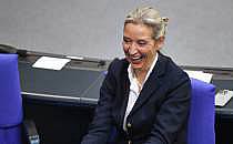Alice Weidel (Archiv), &uuml;ber dts Nachrichtenagentur