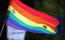 Regenbogen-Fahne (Archiv), &uuml;ber dts Nachrichtenagentur