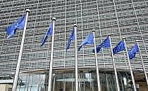 EU-Fahnen (Archiv), über dts Nachrichtenagentur