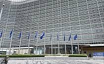 EU-Fahnen (Archiv), über dts Nachrichtenagentur