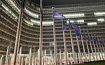 EU-Fahnen (Archiv), über dts Nachrichtenagentur