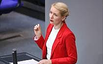 Ines Schwerdtner (Archiv), &uuml;ber dts Nachrichtenagentur