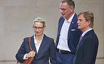 Alice Weidel, Tino Chrupalla und Bernd Baumann (Archiv), &uuml;ber dts Nachrichtenagentur