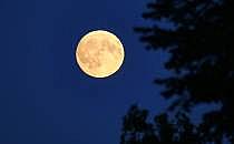 Mond (Archiv), über dts Nachrichtenagentur