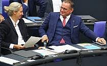 Alice Weidel und Tino Chrupalla (Archiv), über dts Nachrichtenagentur