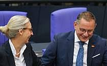 Alice Weidel und Tino Chrupalla (Archiv), über dts Nachrichtenagentur