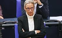 Alice Weidel (Archiv), über dts Nachrichtenagentur