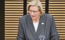 Anke Rehlinger (Archiv), &uuml;ber dts Nachrichtenagentur