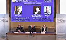 Bekanntgabe Wirtschaftsnobelpreis am 13.10.2025 (Archiv), über dts Nachrichtenagentur