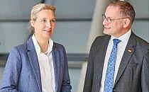 Alice Weidel und Tino Chrupalla (Archiv), über dts Nachrichtenagentur