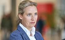 Alice Weidel (Archiv), &uuml;ber dts Nachrichtenagentur