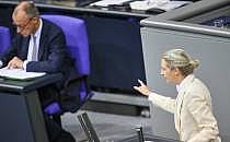 Friedrich Merz und Alice Weidel (Archiv), über dts Nachrichtenagentur