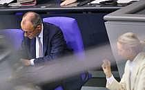 Friedrich Merz und Alice Weidel (Archiv), &uuml;ber dts Nachrichtenagentur