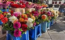 Blumen in einem Blumenladen (Archiv), &uuml;ber dts Nachrichtenagentur