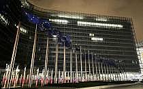 EU-Fahnen (Archiv), über dts Nachrichtenagentur