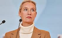 Alice Weidel (Archiv), über dts Nachrichtenagentur