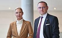 Alice Weidel und Tino Chrupalla (Archiv), über dts Nachrichtenagentur