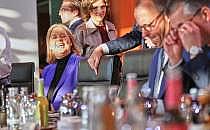 B&auml;rbel Bas und Friedrich Merz im Kabinett, &uuml;ber dts Nachrichtenagentur